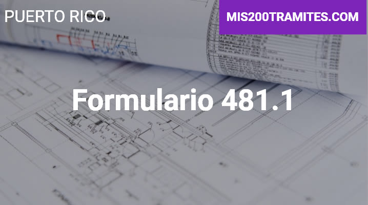 Formulario 481.1